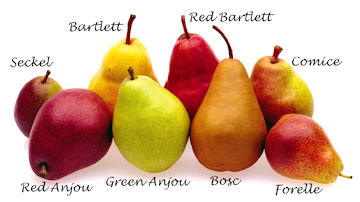 Pear Varieties